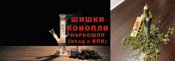 крисы Лабытнанги