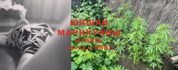 гидра Ладушкин