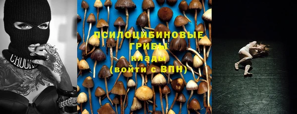 крисы Лабытнанги