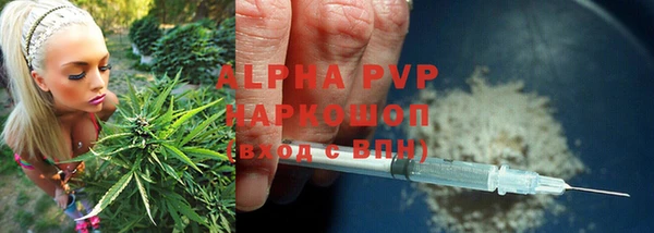 крисы Лабытнанги