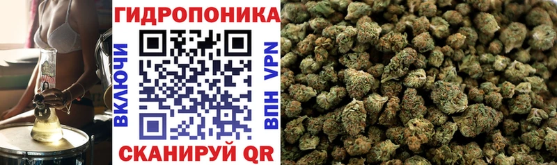 продажа наркотиков  MEGA   Канабис планчик  Липецк 