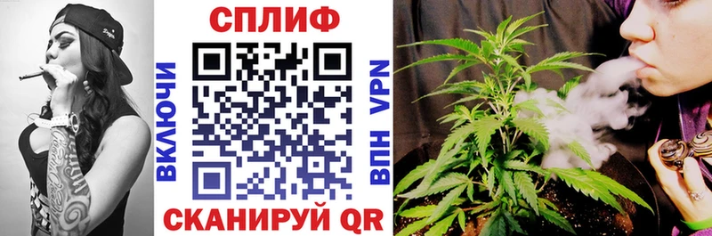 Канабис сатива Липецк